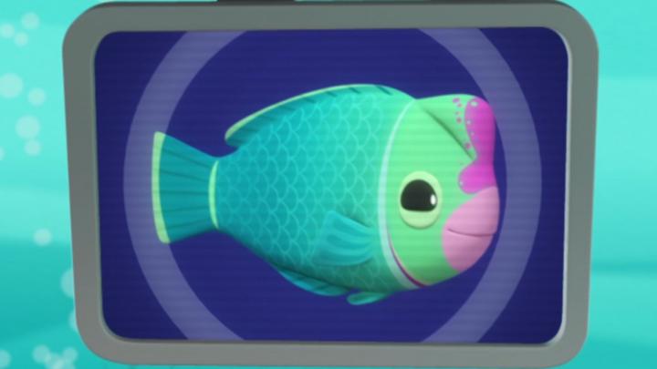 Octonauts Parrot Fish