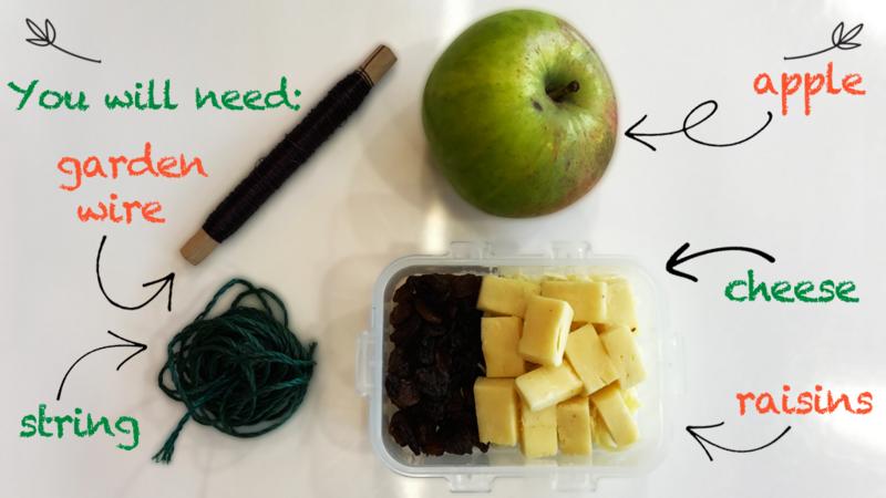 An ingredients page, showing some gardening wire, string, an apple, cheese cubes and raisins for the bird kebab make.