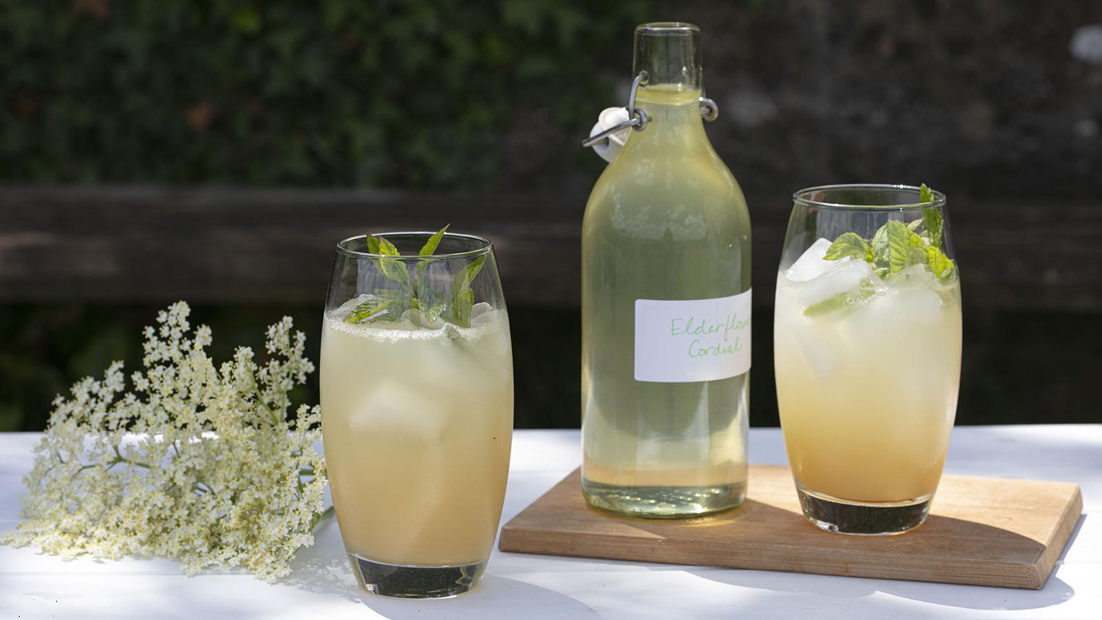 Apple elderflower cooler