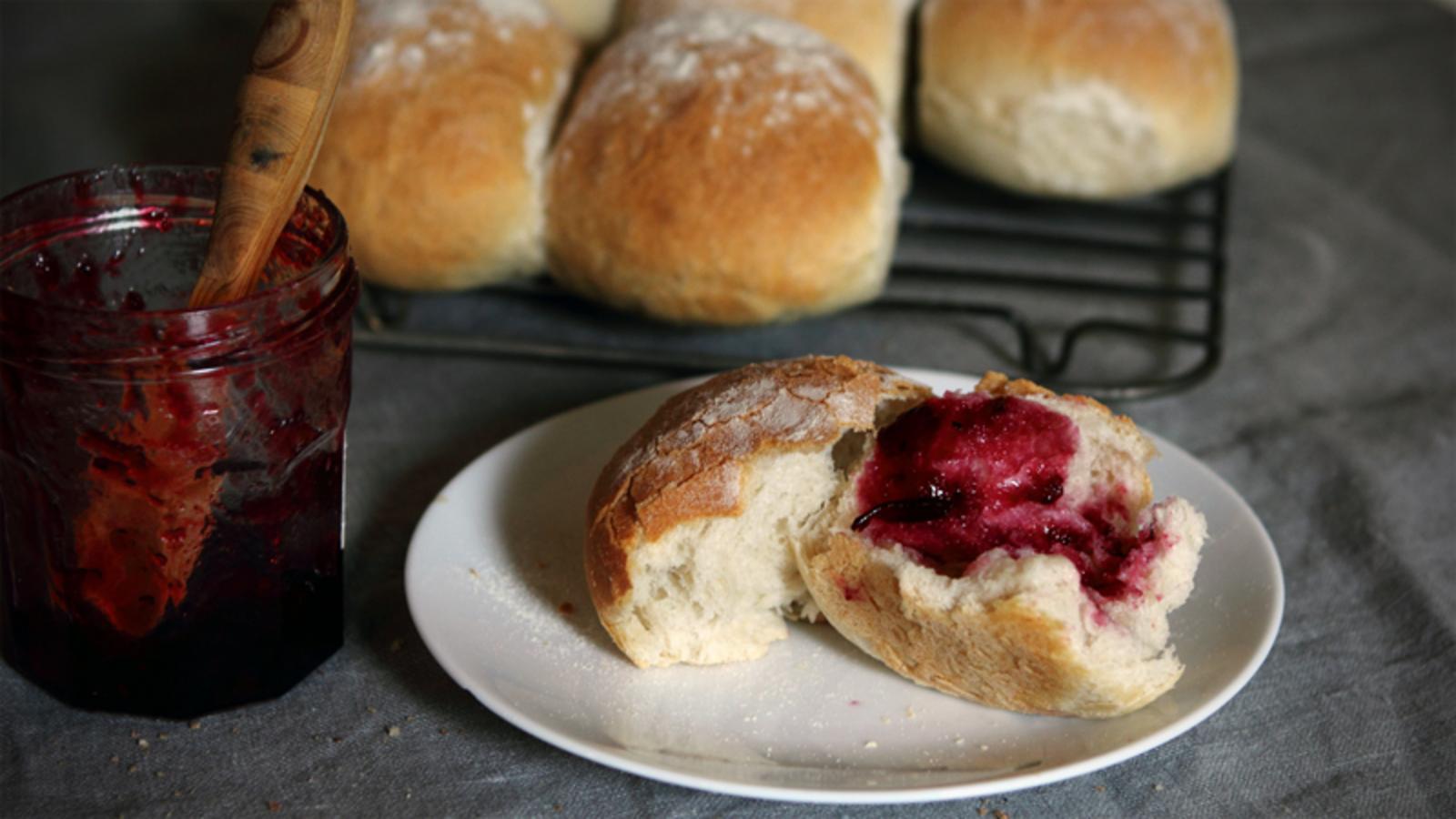 Basic bread rolls