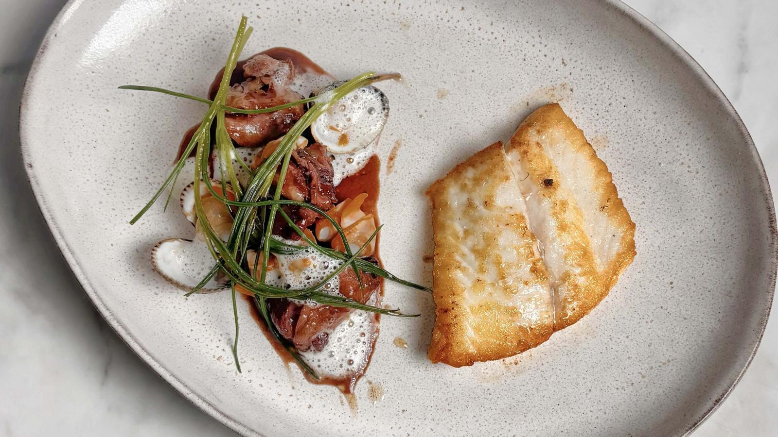 Pan-fried brill with cockles and oxtail