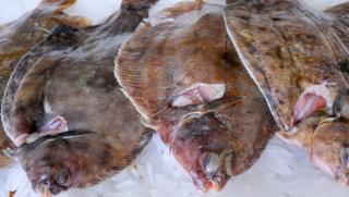 Lemon Sole Recipes - BBC Food