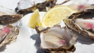 Oyster recipes - BBC Food
