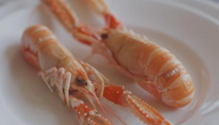 Shellfish recipes - BBC Food
