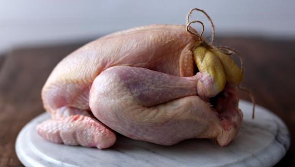 BBC - Food - Poultry recipes