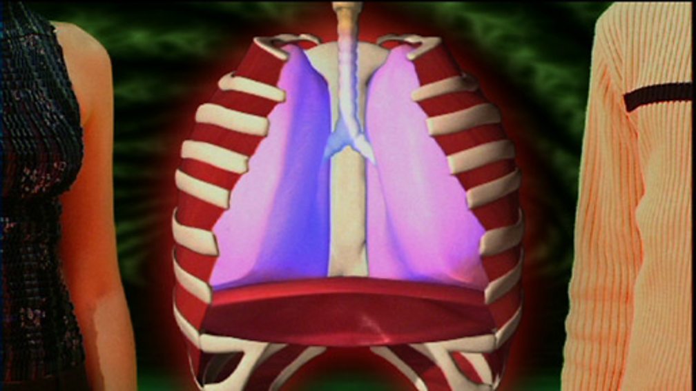 Bbc Two Ks4 Curriculum Bites Science 14 16 How Do We Breathe 8209