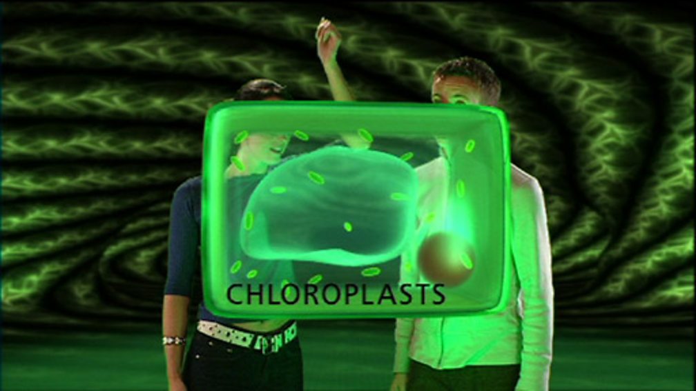 www.collarspace