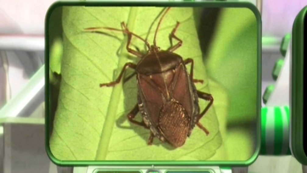 BBC Two Science Clips, Moving and Growing, Invertebrates