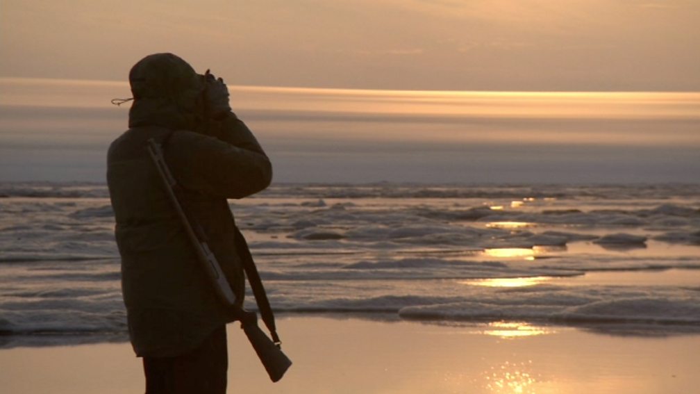 Bbc One Frozen Planet On Thin Ice 