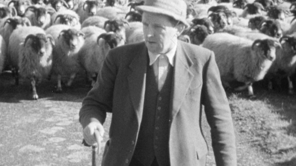 BBC Two Hairy Bikers' Best of British, Series 2, Sheep, Lamb kofta curry