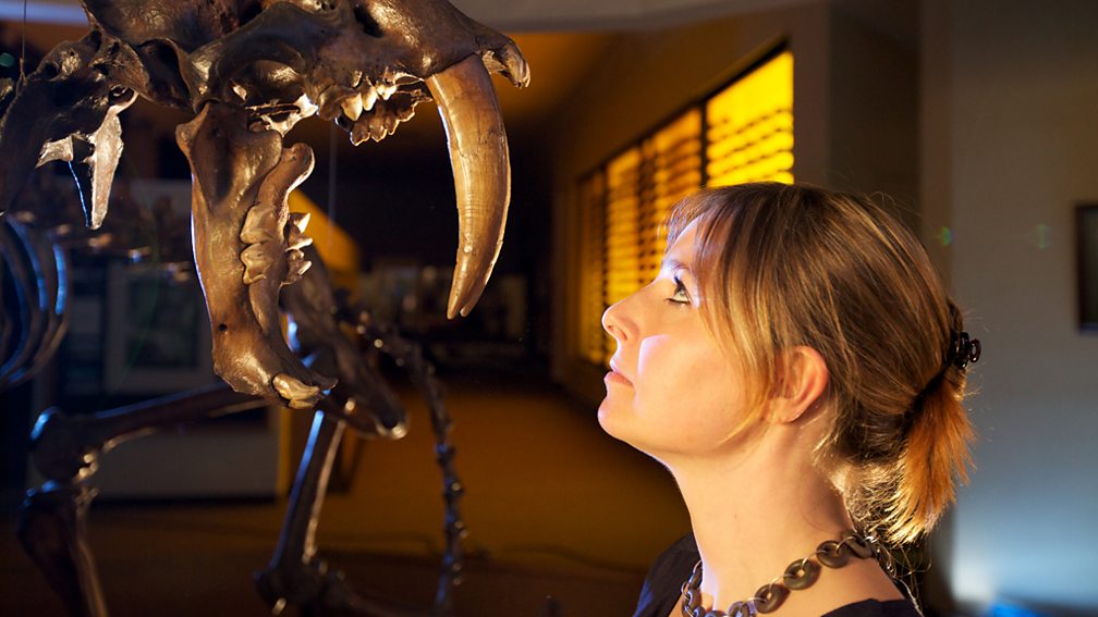 Bbc Two Ice Age Giants Dr Alice Roberts