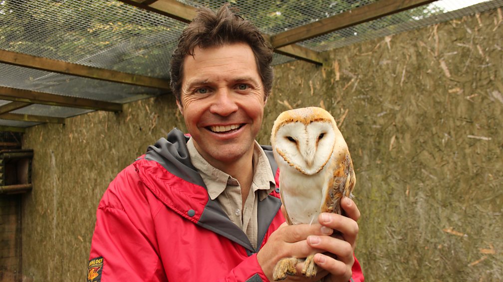BBC One Britain s Big Wildlife Revival Bill Oddie BBC One Britain s Big Wildlife Revival Bill Oddie