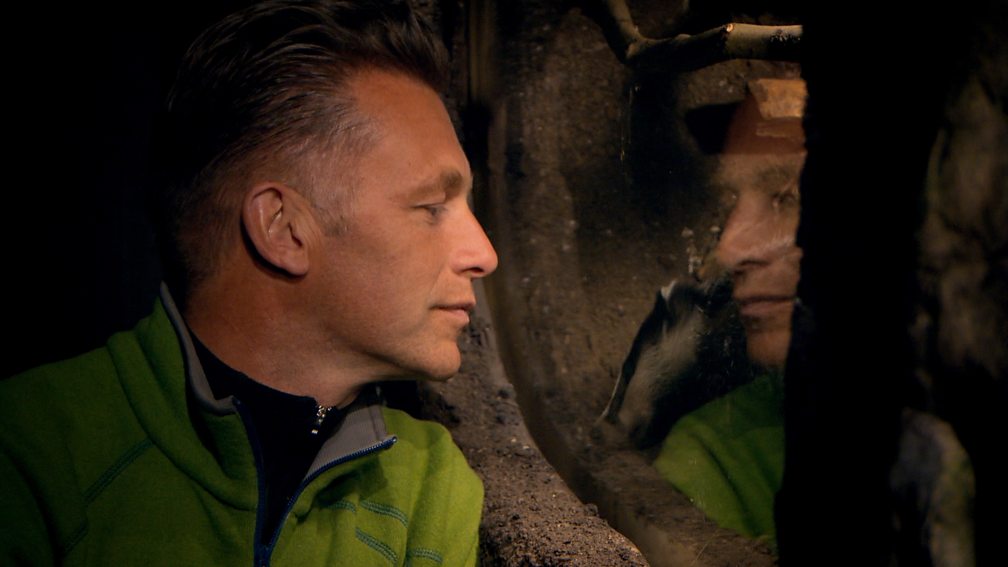 BBC Two The Burrowers Learning Zone, How do rabbits live underground?