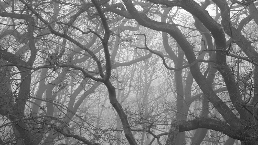 Susan Hill The Mist In The Mirror