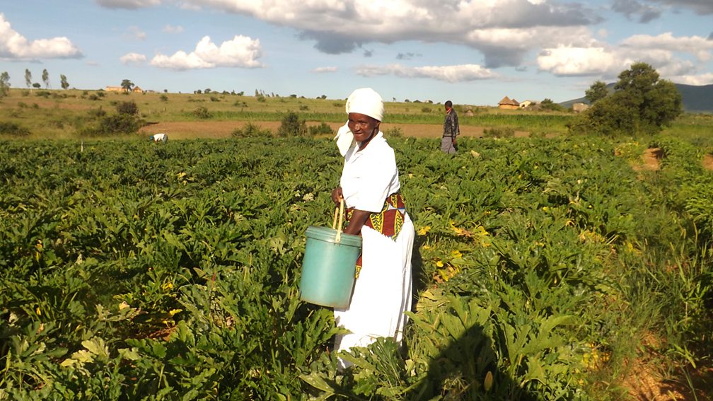 Bbc Radio 4 - Radio 4 Appeal, Gardenafrica