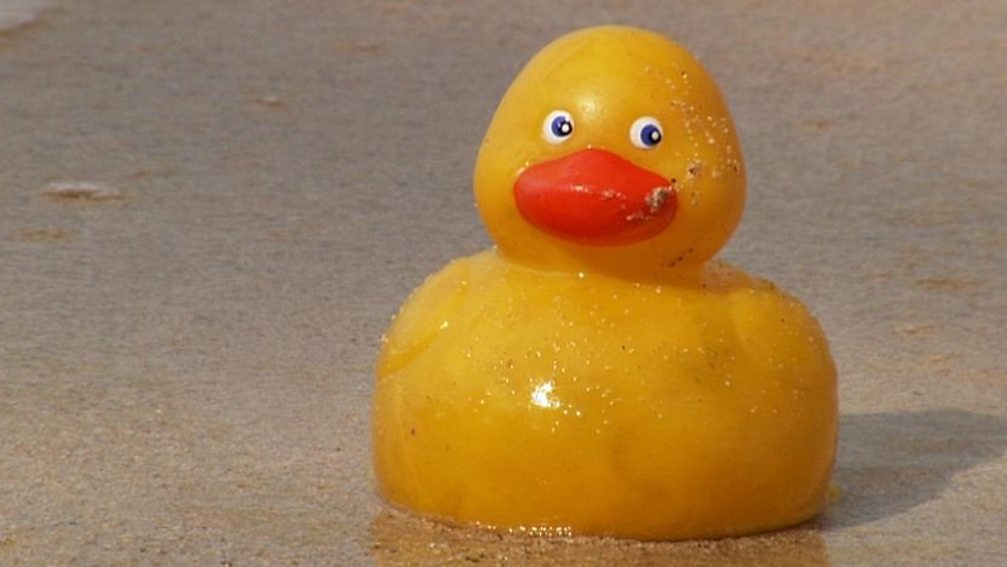 BBC Two - Earth: The Power of the Planet, Oceans, Rubber ducks