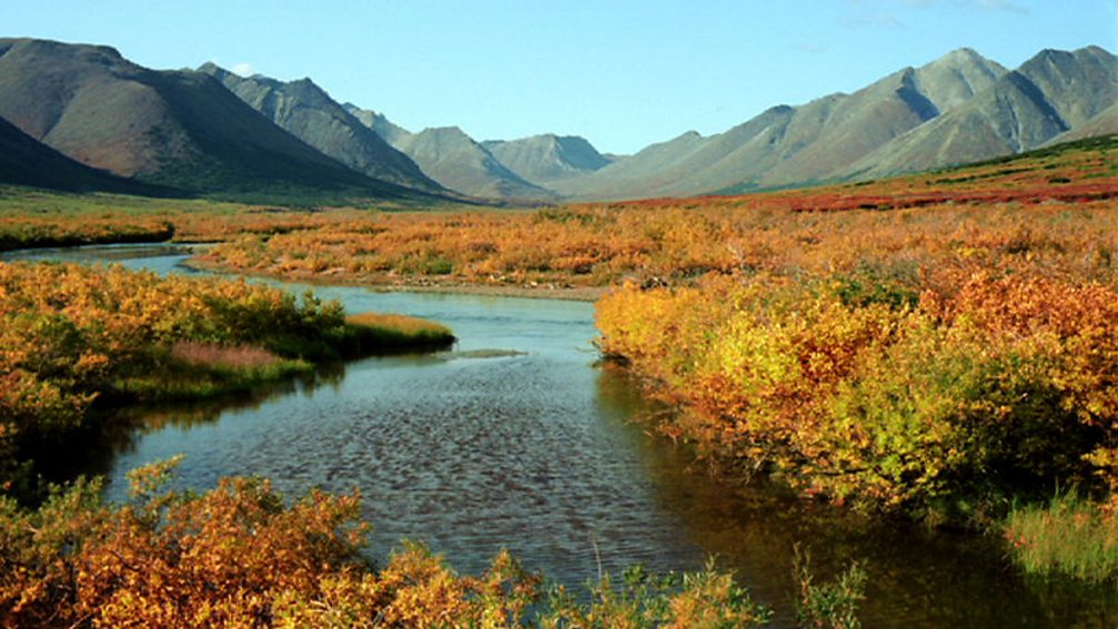 BBC One Frozen Autumn, Autumn in the tundra