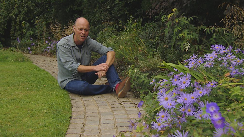 Bbc Two Gardeners World 2015 Episode 3 Joe Swift Visits An Awkward Shaped Town Garden 1619