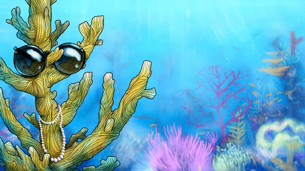 BBC Radio 4 Natural Histories, Coral, How coral islands are formed