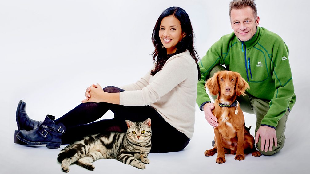 BBC Two Cats v Dogs Which Is Best?