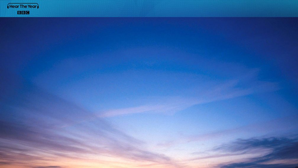 BBC Angus Peter Campbell