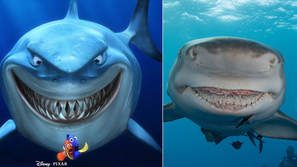 BBC Radio 5 Live 5 Live In Short, Bruce from Finding Nemo, or smiley