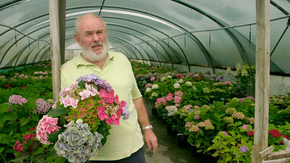 BBC Two Gardeners' World, 2017, Episode 6, DIY plant supports