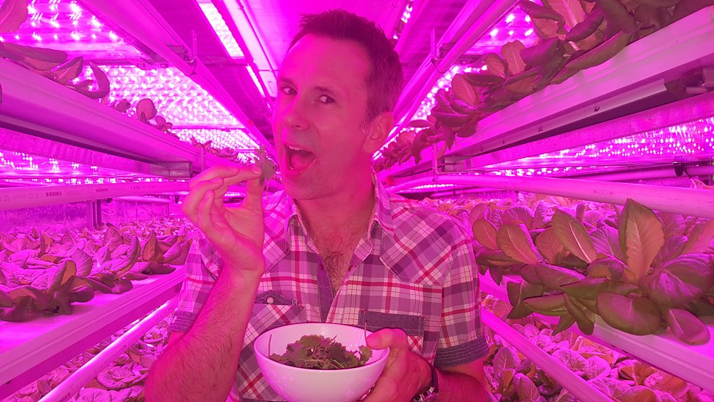 BBC News Click, Lettuce Entertain You, Labgrown meat The future of