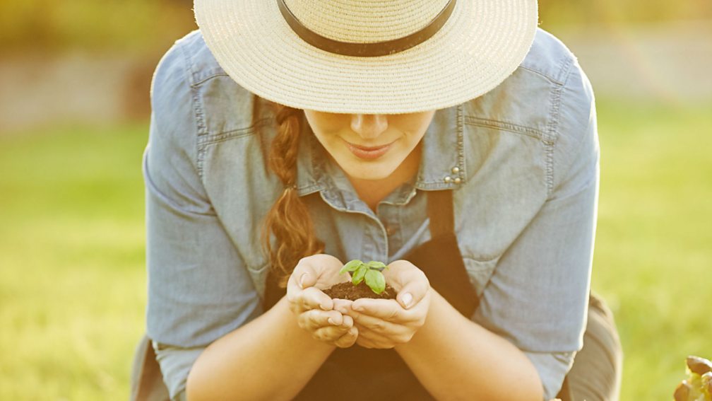 Bbc World Service Crowdscience Can Plants Talk