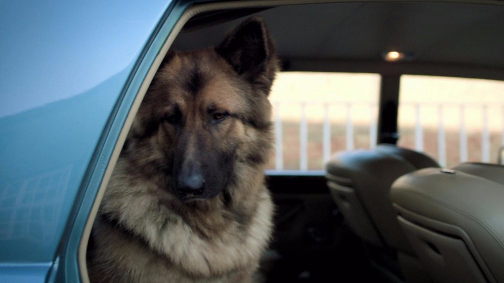 BBC Two White Gold, Trailer White Gold