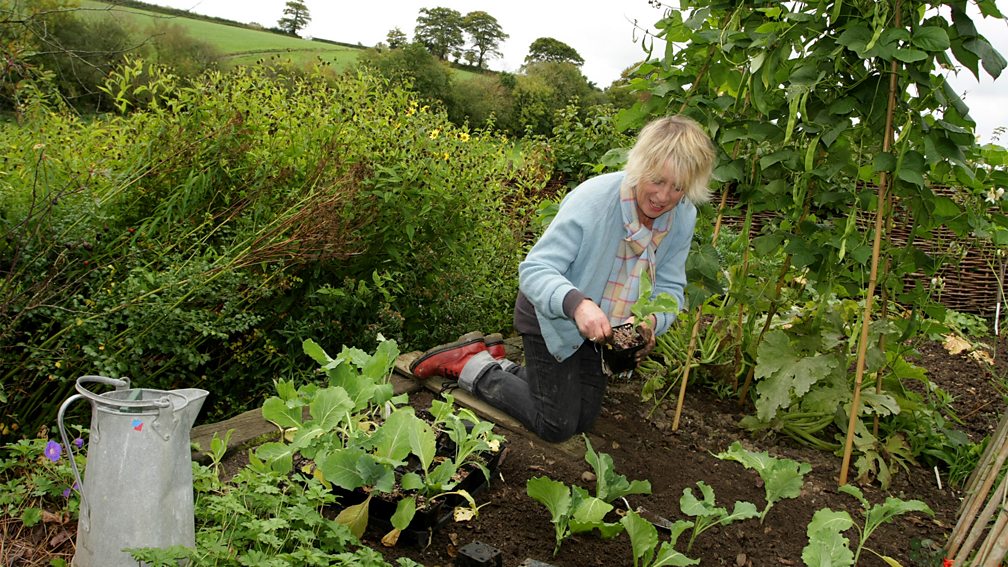 BBC Two - Life in a Cottage Garden with Carol Klein, Series 1 - Episode