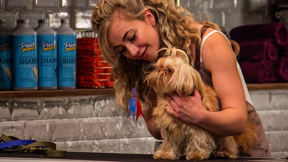 BBC One Pooch Perfect