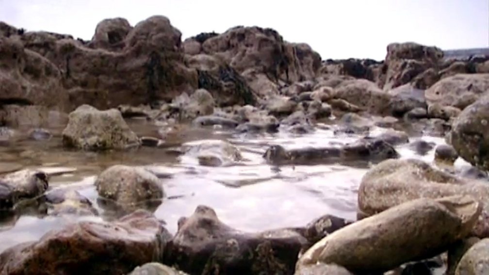 BBC Two KS1 Science Clips, Sound and Hearing, Sounds made from different types of musical