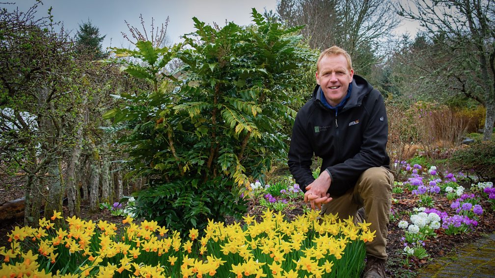 BBC Two The Beechgrove Garden