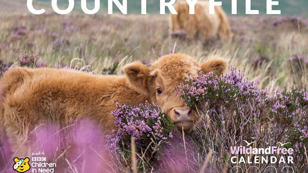 Bbc Countryfile Calendar 2025 Vote Online Today 