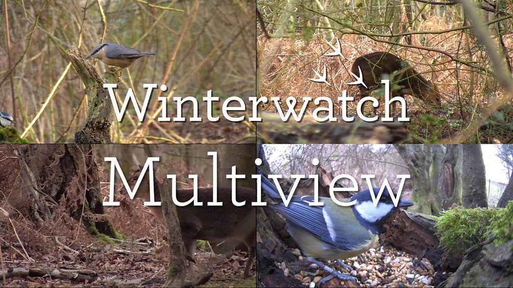 BBC Two Winterwatch Episode guide