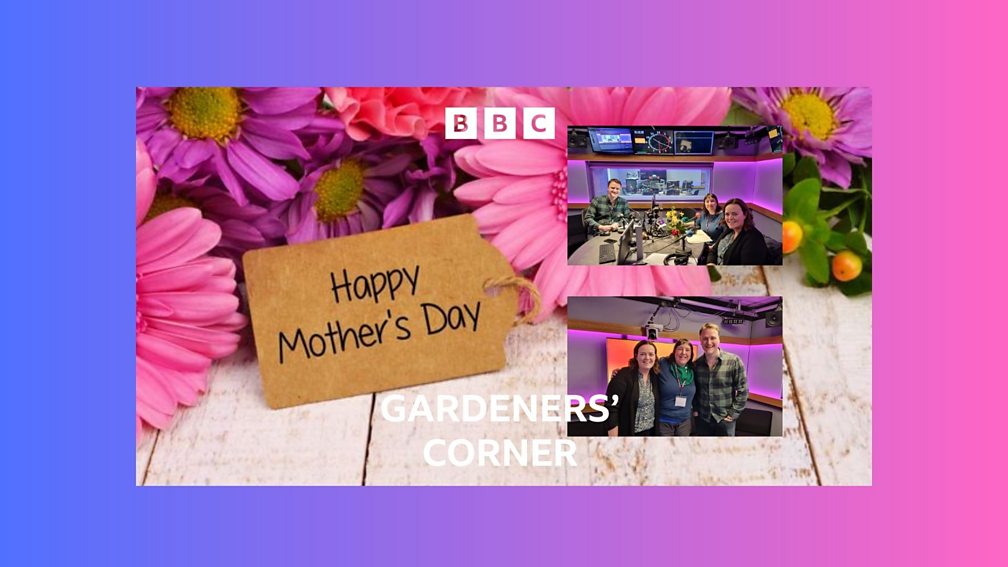 BBC Radio Ulster Gardeners' Corner