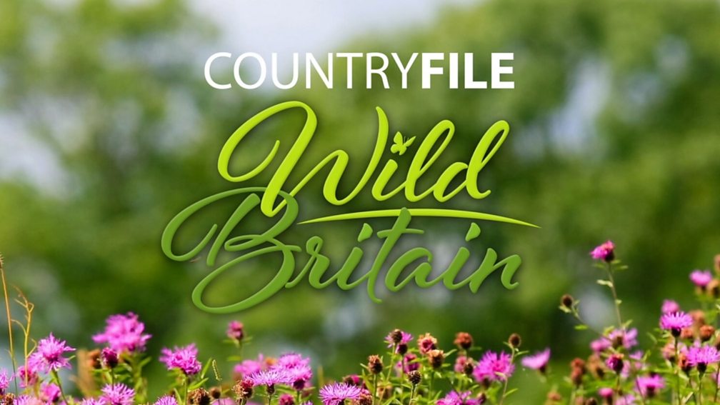 BBC One Countryfile