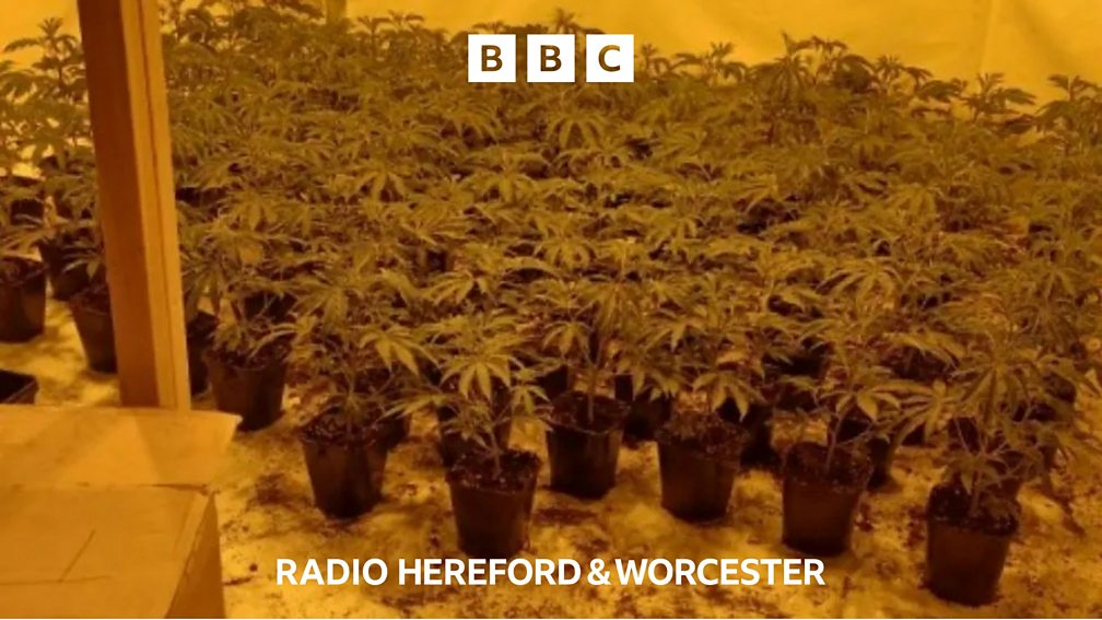 BBC Hereford & Worcester BBC Hereford & Worcester, Worcester Paint