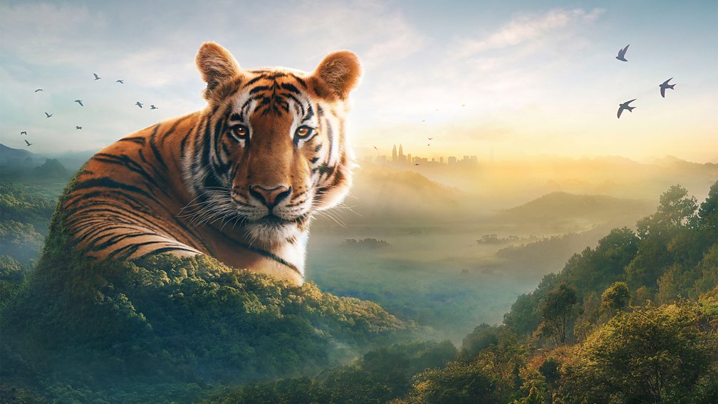 BBC One - Asia - Episode guide