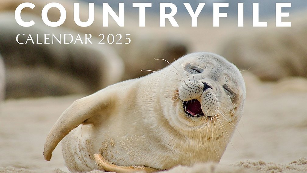 BBC One - Countryfile