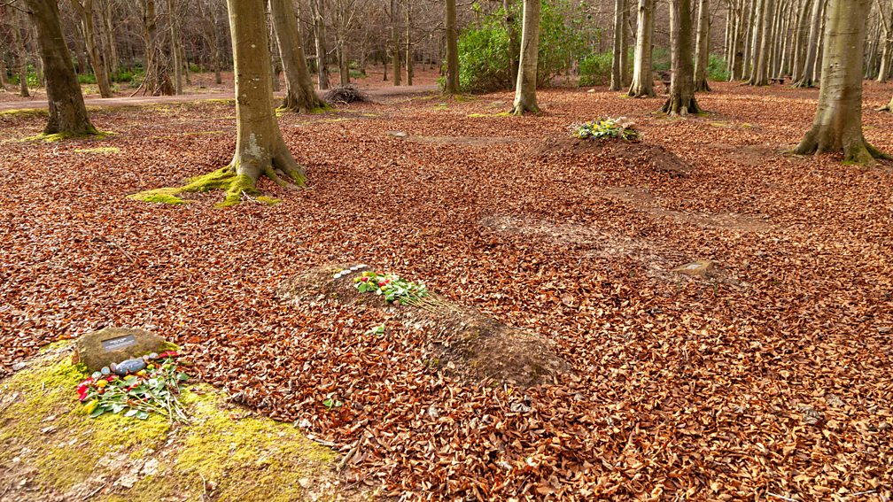 Alamy Natural burials are growing in popularity. It involves burying a body without any barriers to decomposition – no embalming fluids, plastic liners or metal caskets (Credit: Alamy)
