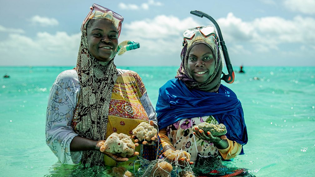 Lauraclara Cosmas Sea sponge farming is offering a lifeline to single mothers and divorced women in Zanzibar (Credit: Lauraclara Cosmas)