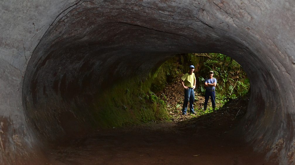 Los misteriosos túneles de Brasil hechos por perezosos gigantes