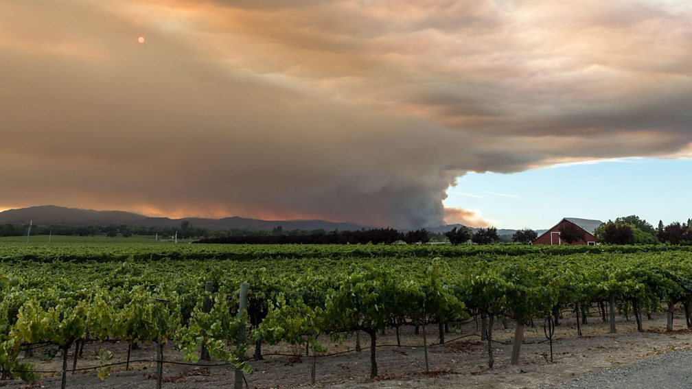 Alamy Extreme weather events such as wildfires have reduced US wine yields, which affects how vintners price their bottles (Credit: Alamy)