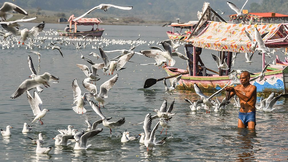 Getty Images Climate change can shift the range of species, bringing them into closer contact with new populations (Credit: Getty Images)