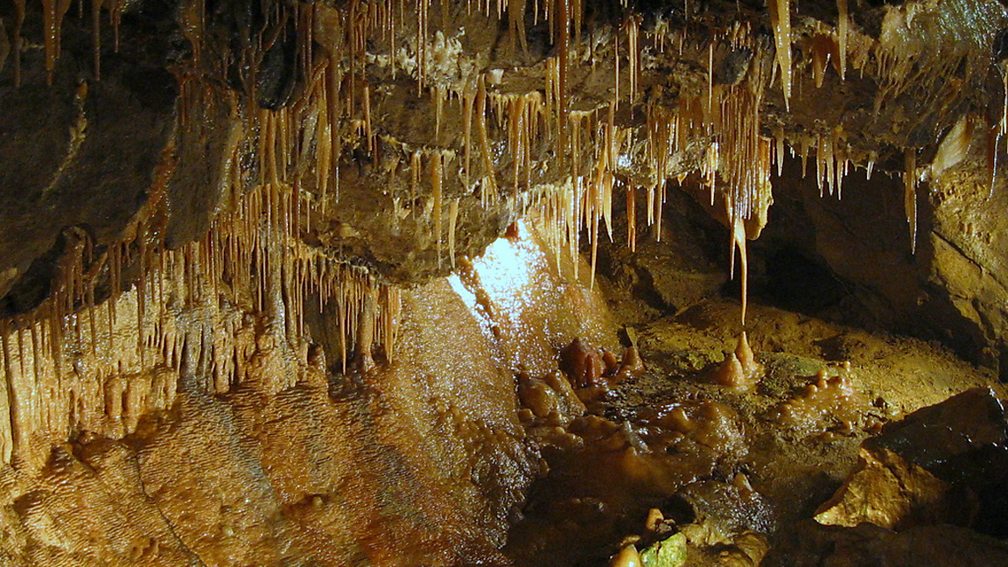 underground-features-upland-limestone-landscapes-national-4