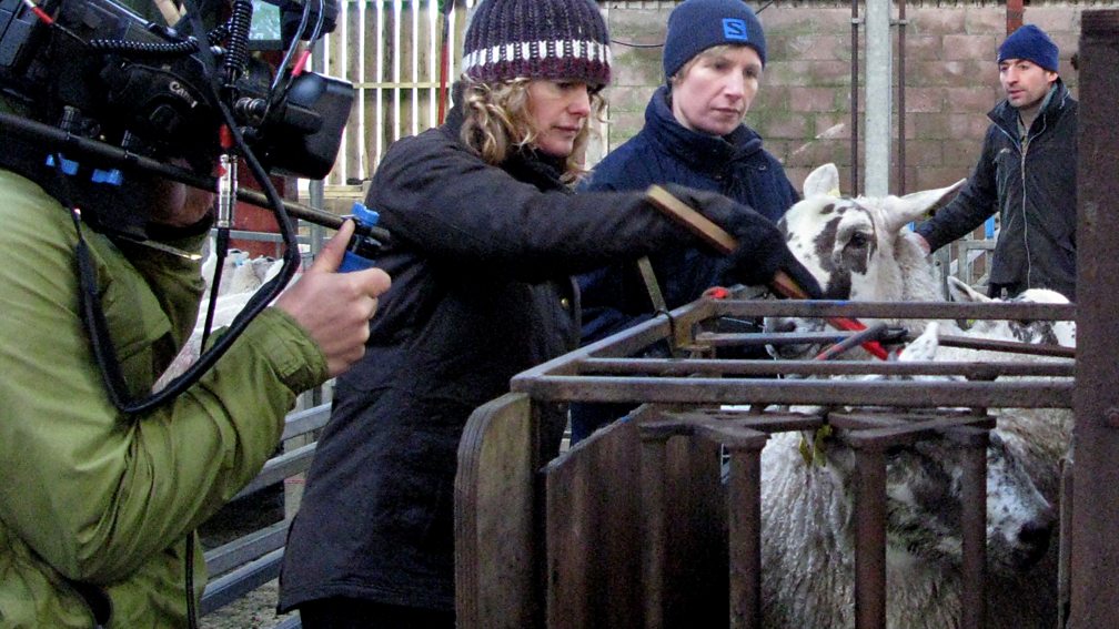 BBC Two Lambing Live The Dykes' farm