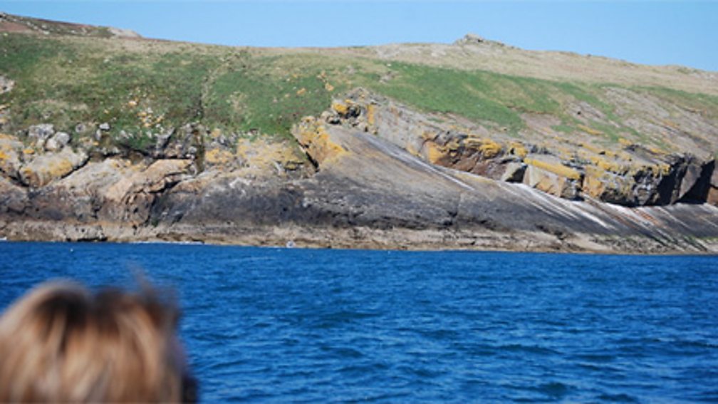 BBC Blogs - Wales - Happy 20th birthday for marine reserve