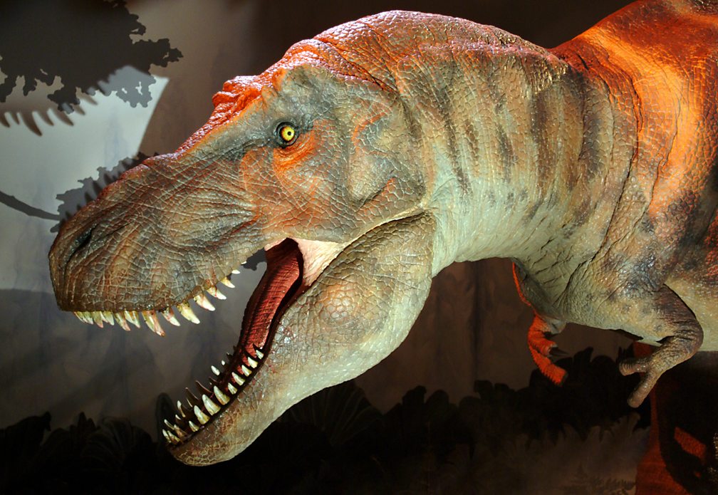 BBC Radio 4 - Natural Histories, Dinosaurs - 10 things we got wrong ...
